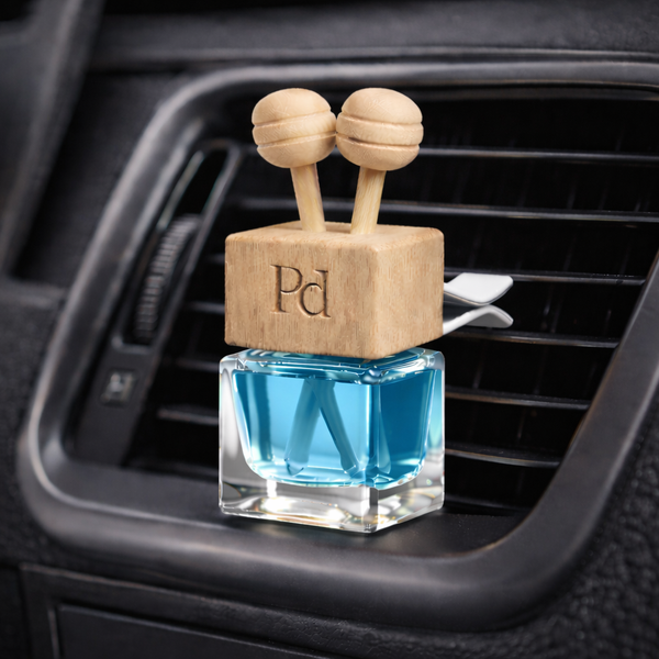 Car diffuser - Afternoon Swim